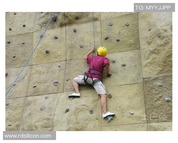 从零基础到高手：全面解析攀岩战术与技巧的实用指南