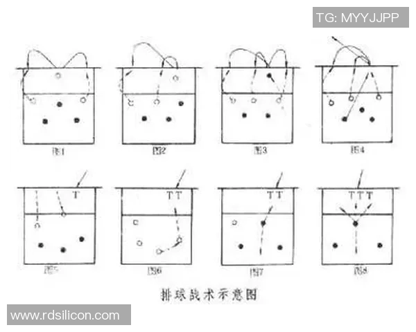 广州与杭州排球队的较量分析与战术探讨