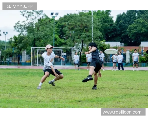 飞盘力量排行榜揭晓杭州飞盘队荣登第八名展现实力与潜力