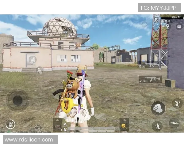 和平精英分析：BLG区域防守策略的成功与不足之处探讨